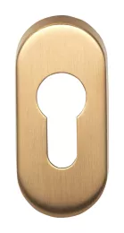 Изображение продукта BASICS LBY32 IM дверная накладка под евроцилиндр PVD золото сатинированное