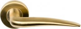 BASICS LB20 IM дверные ручки на розетке PVD золото сатинированное - 1